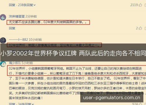 小罗2002年世界杯争议红牌 两队此后的走向各不相同 小罗2002年世界杯争议红牌 两队此后的走向各不相同